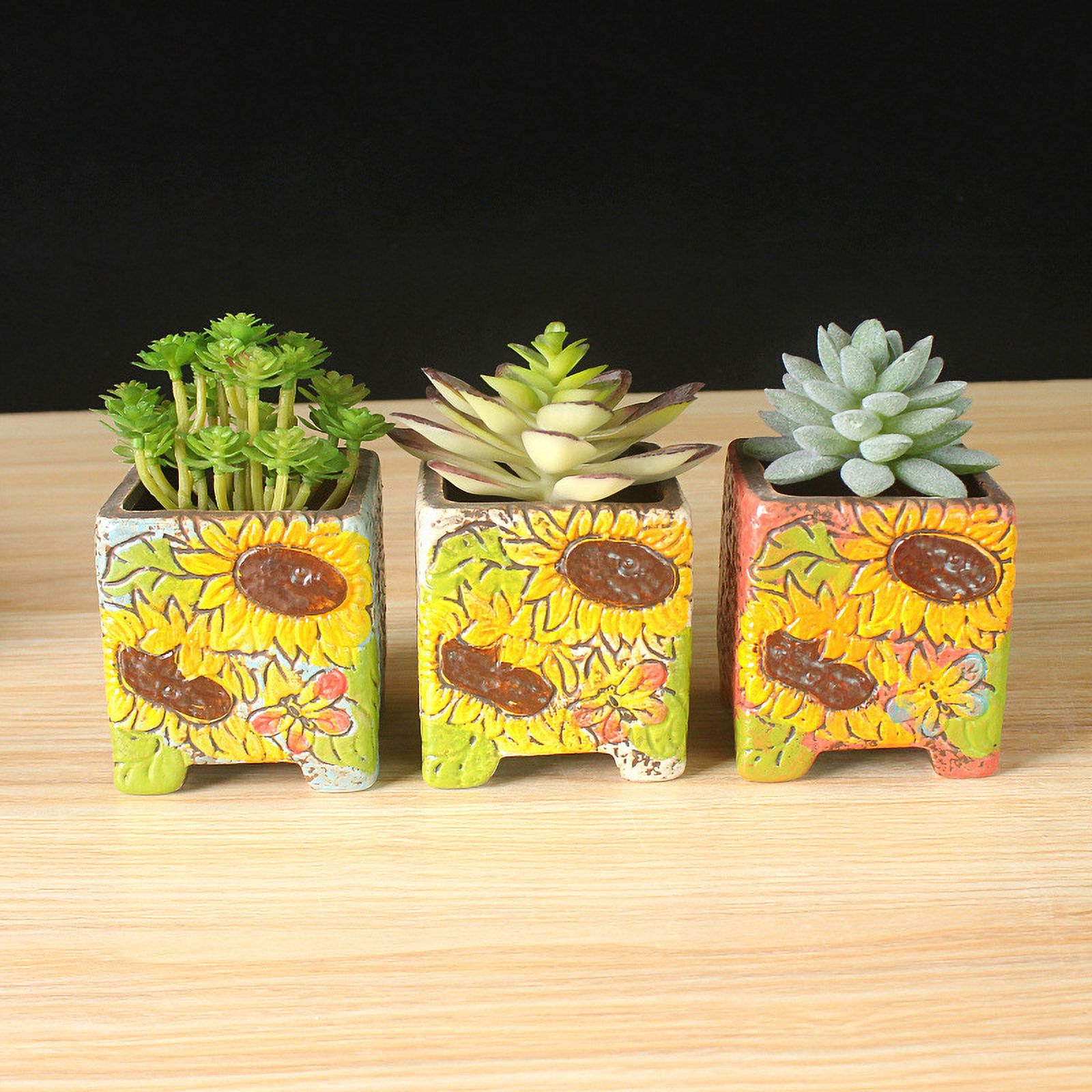Hand-painted Ceramic Succulent Planter - Desktop Plant Pot