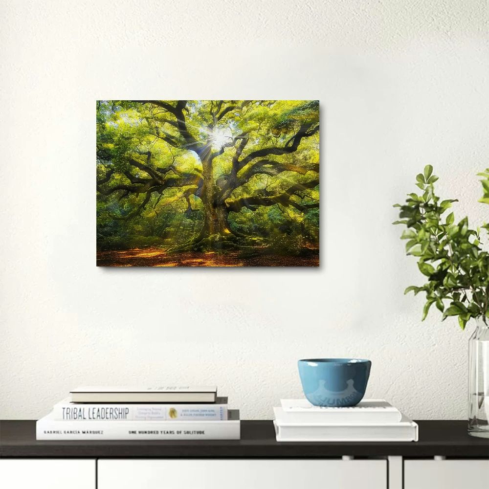 Zhiwo Landscape Canvas Artwork Angel Oak Tree Picture Prints Sunshine Through Tree Canvas Green Oak Tree Painting South Carolina Tree Print Framed and Stretched Nature Canvas 16x12inch