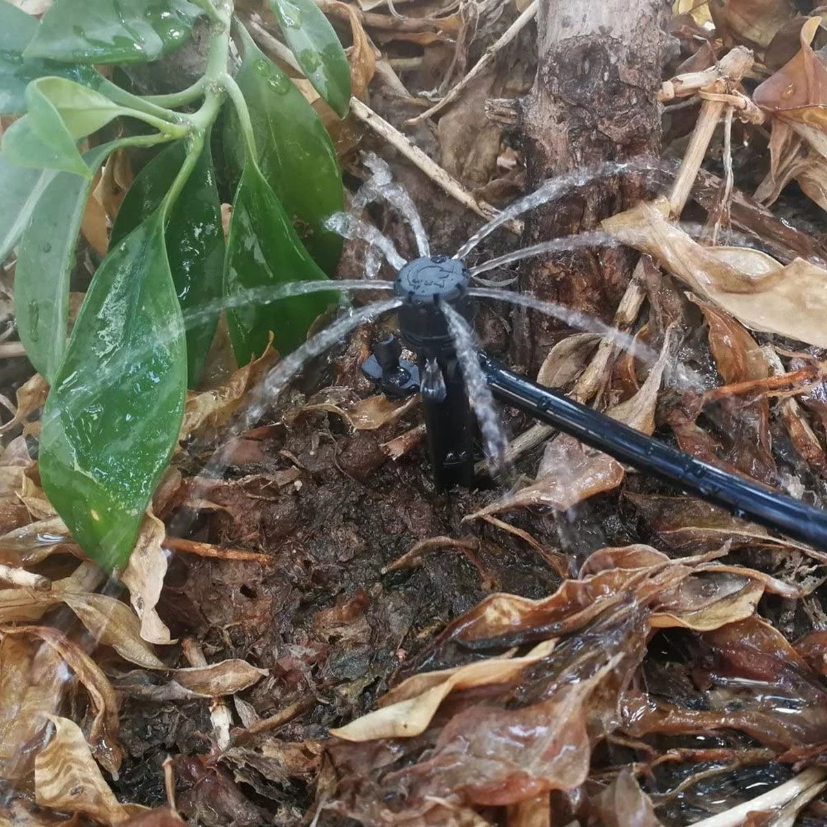 Deago 50PCS Adjustable 360 Degree Water Flow Irrigation Drippers on Stake Emitter Drip System for Garden Patio Lawn Flower