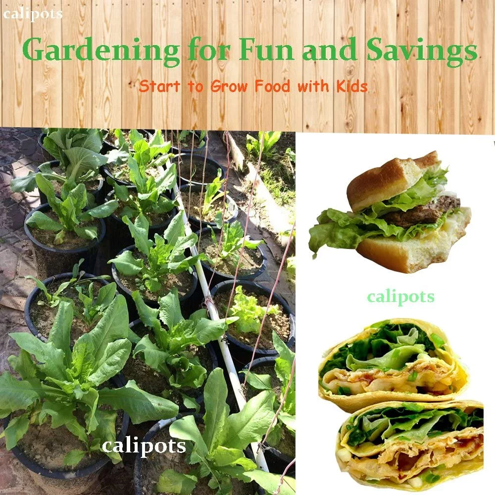 1 Gallon Premium Black Plastic Nursery Plant Container Garden Planter Pots (1 Gallon)