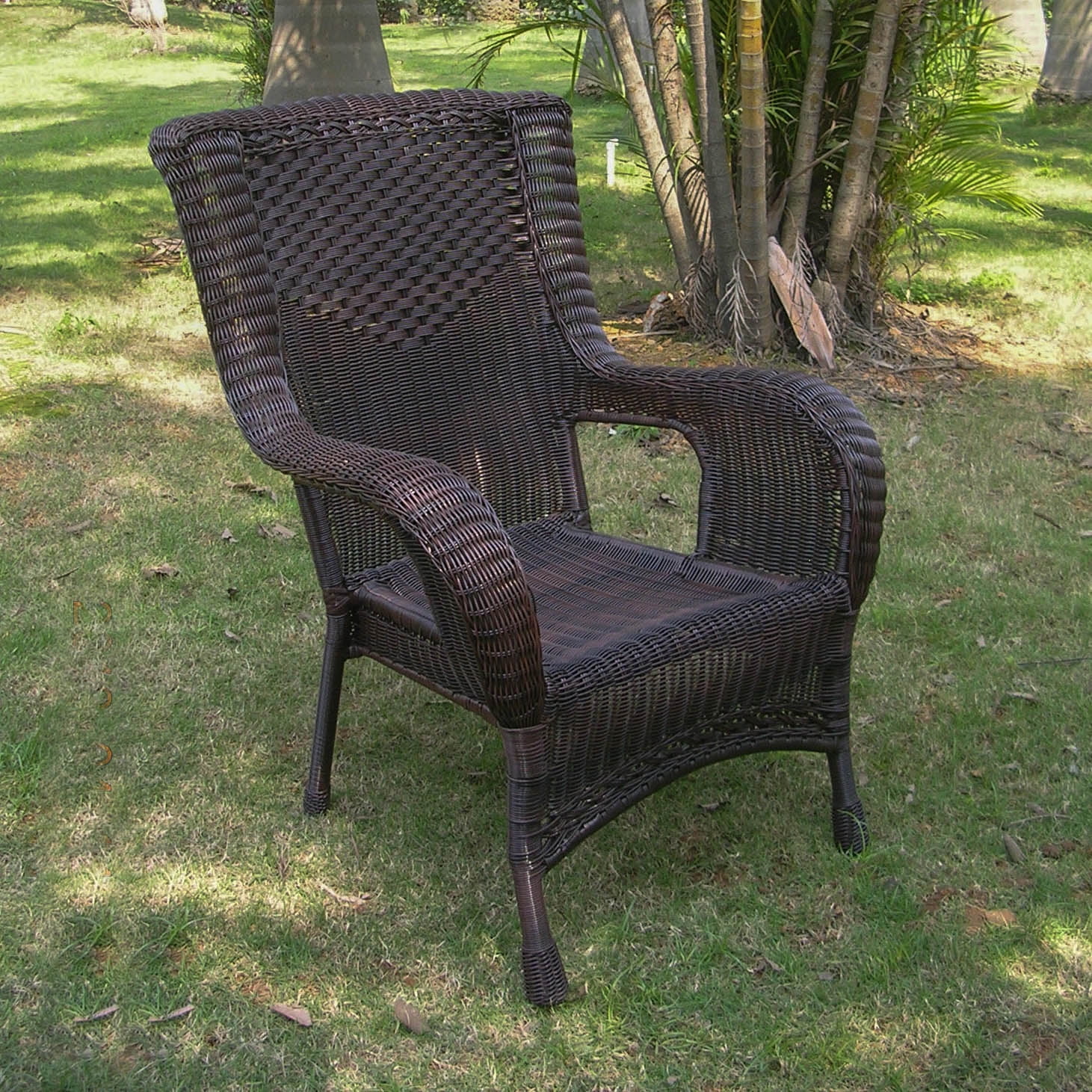Resin Wicker/Aluminum Dining Chair - Antique Pecan