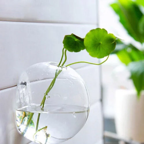 hirigin Wall-Mounted Glass Flower Pot Transparent Globe Shape Hanging Vase Planter