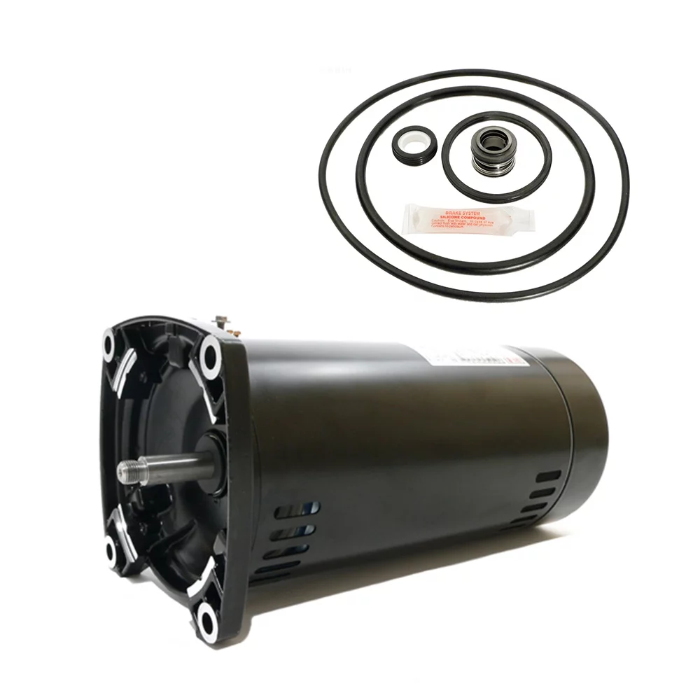 Puri Tech Replacement Motor Kit for Pentair Pinnacle 1HP 342854 AO Smith USQ1102 w / GO-Kit-24
