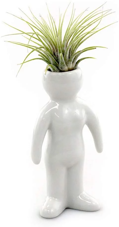 NW Wholesaler - White Ceramic 