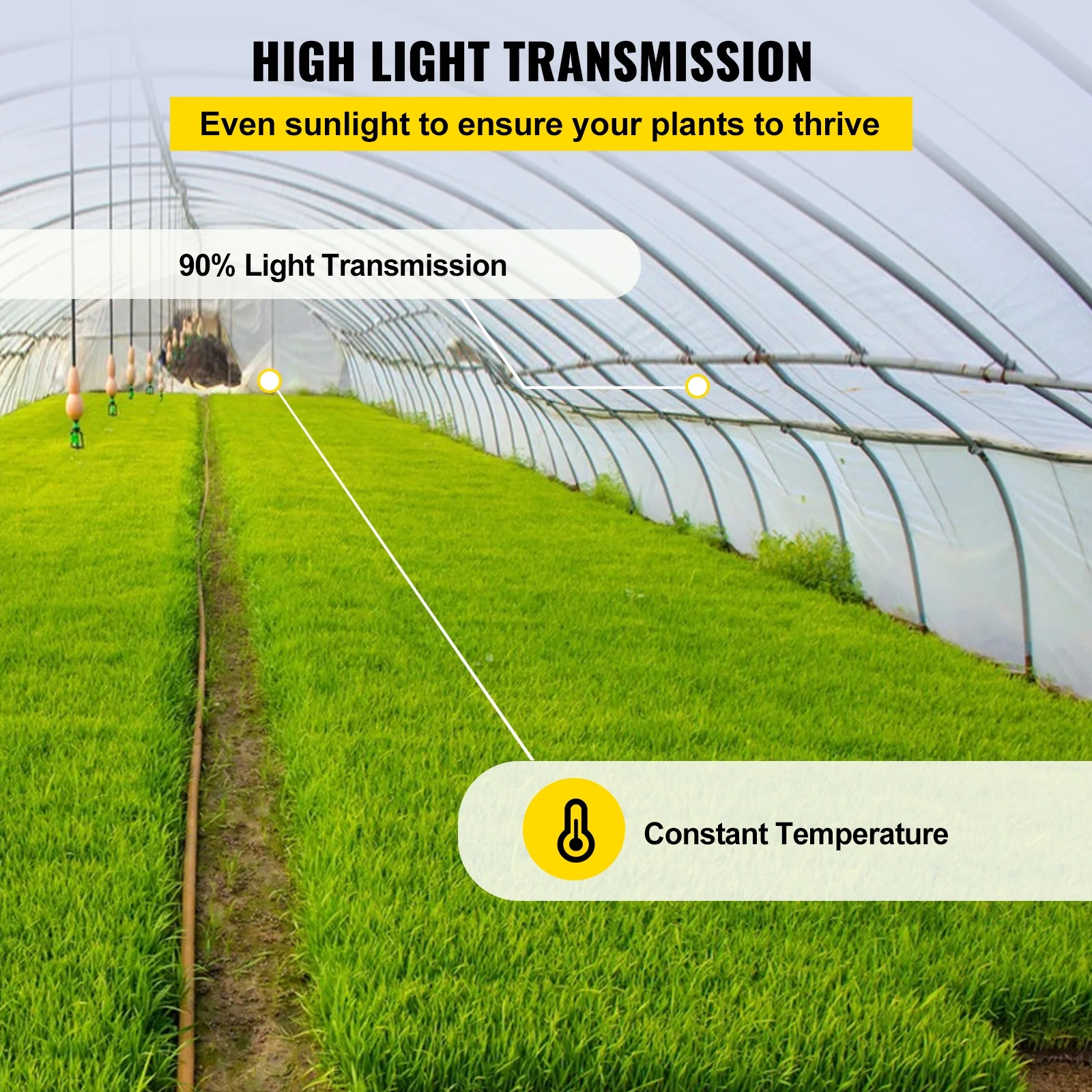 SKYSHALO Greenhouse Film, 10' x 100' Greenhouse Plastic Film, 6 Mil Thick Awning Greenhouse, 4 Years Clear Polyethylene Covering, UV Protection Farm Gardening Plastic Supply