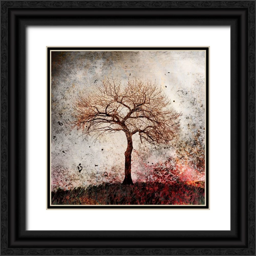 LightBoxJournal 12x12 Black Ornate Wood Framed with Double Matting Museum Art Print Titled - Cottonwood Tree Part 09