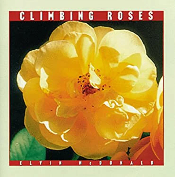 Pre-Owned Climbing Roses 9780765190635