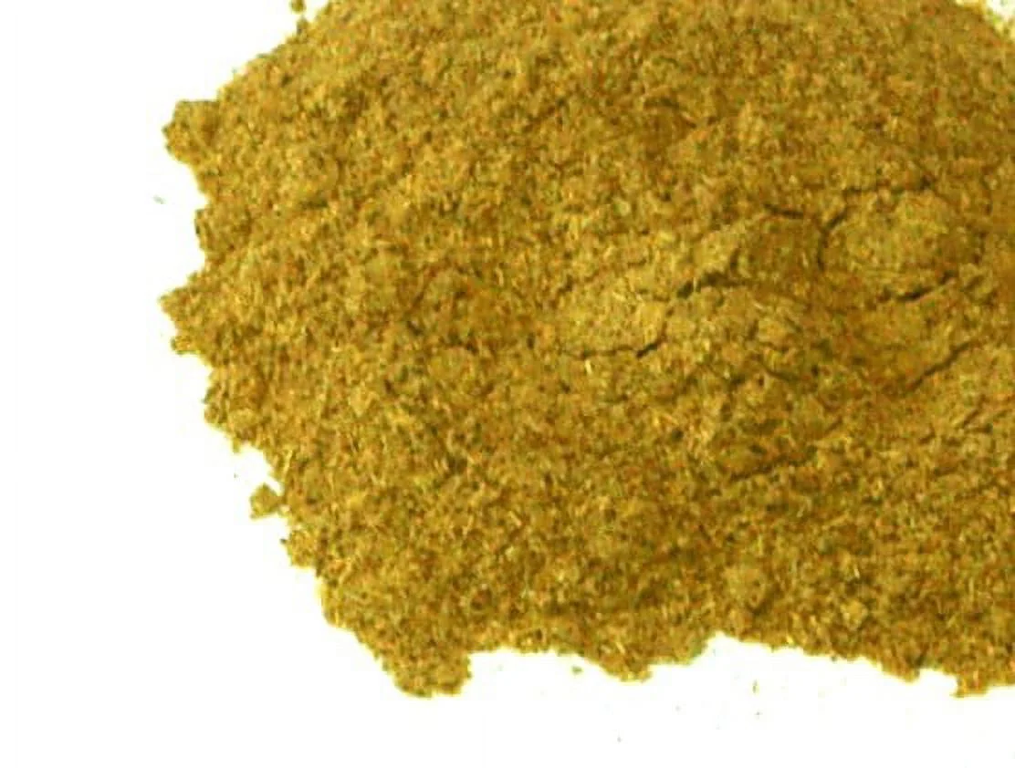 Fenugreek seed Powder