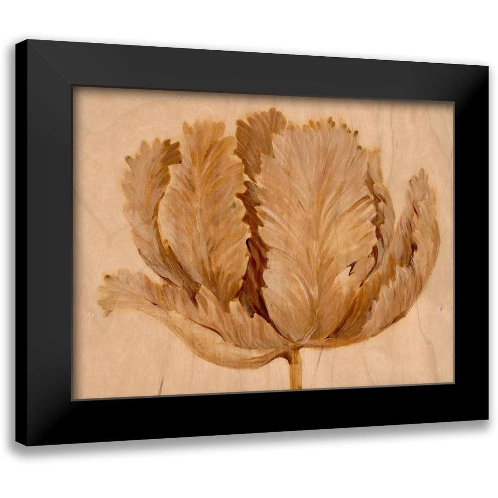 OToole, Tim 14x12 Black Modern Framed Museum Art Print Titled - Sepia Tulip on Birch II