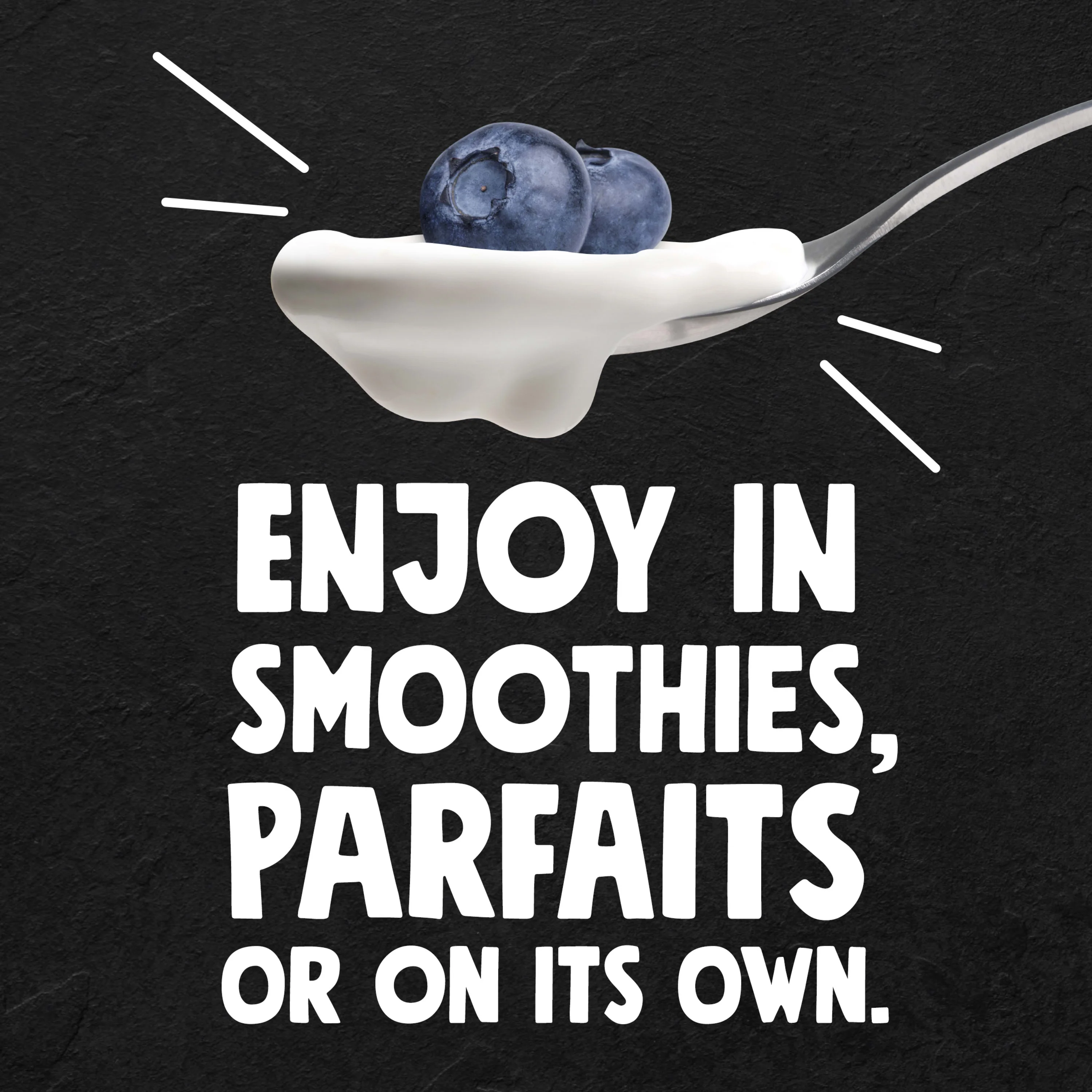 So Delicious Vegan, Non Dairy Blueberry Coconut Milk Yogurt Alternative, 5.3 oz Container