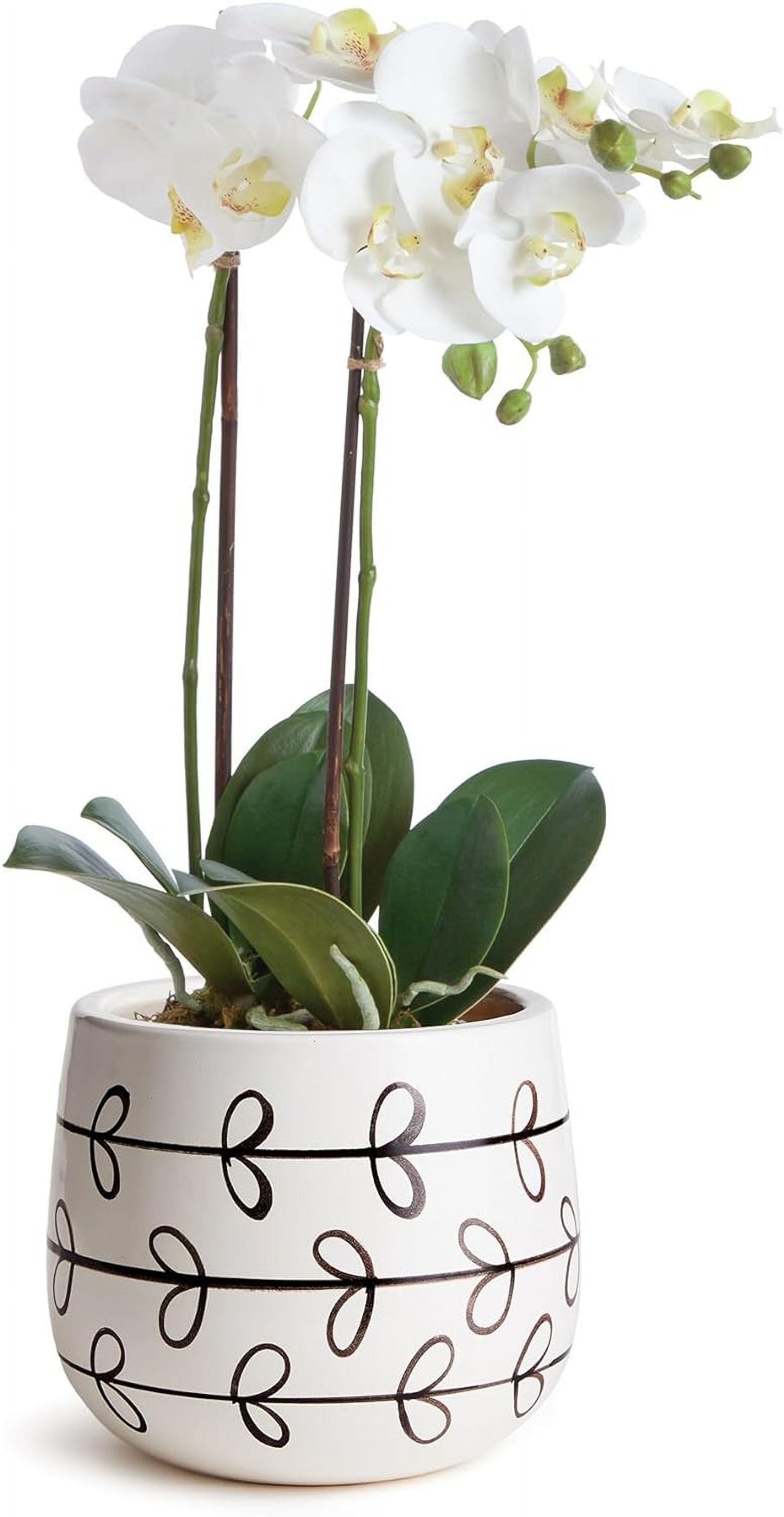 Hand-Painted Pot Small   Ceramic