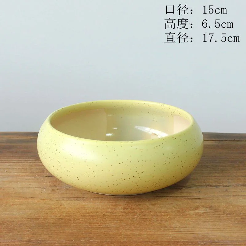 LivNxt Ceramic Succulent Planter - Large Succulent Tray for Tabletop Gardening