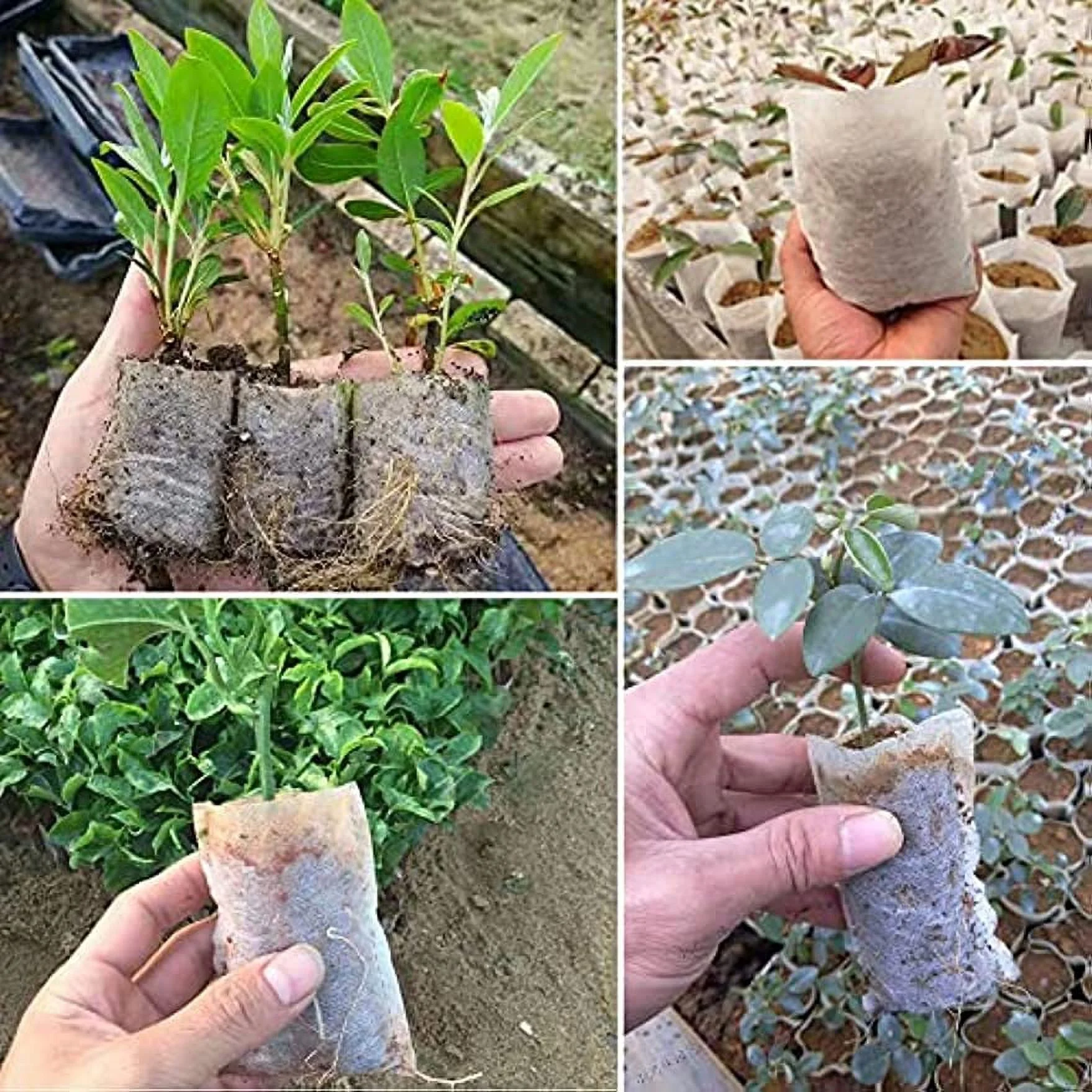 Seedling Plant Grow Bags, Biodegradable Non-Woven Nursery Fabric Seeding Starting Fiber Soil Transplant Pouches, Home Garden Supply - 12 x15 cm (Pack of 40 Pcs)