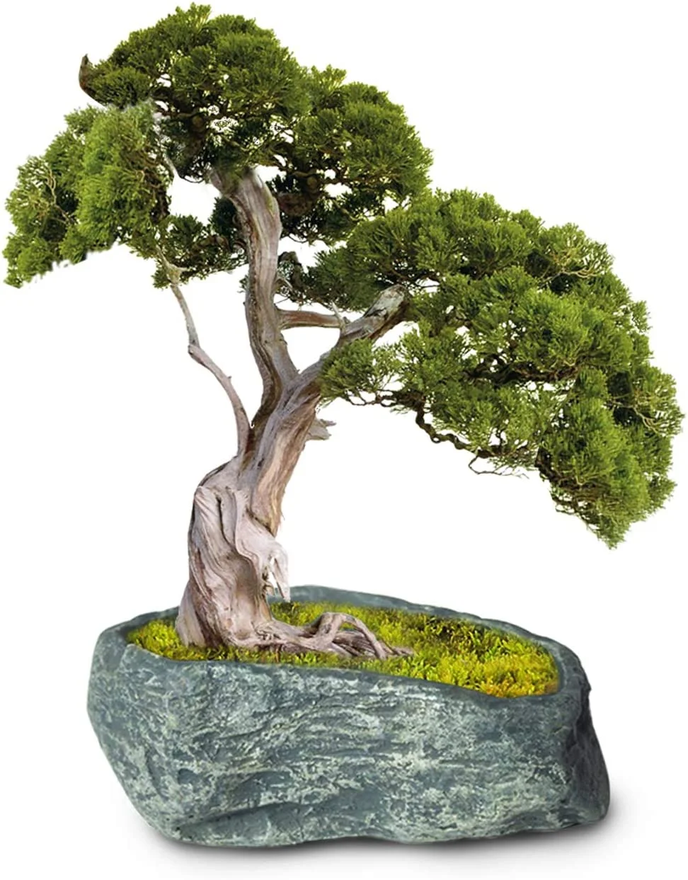 Stone Like Handmade Concrete Succulent Planter/Plant Pot/Flower Pot/Bonsai Pot, 4