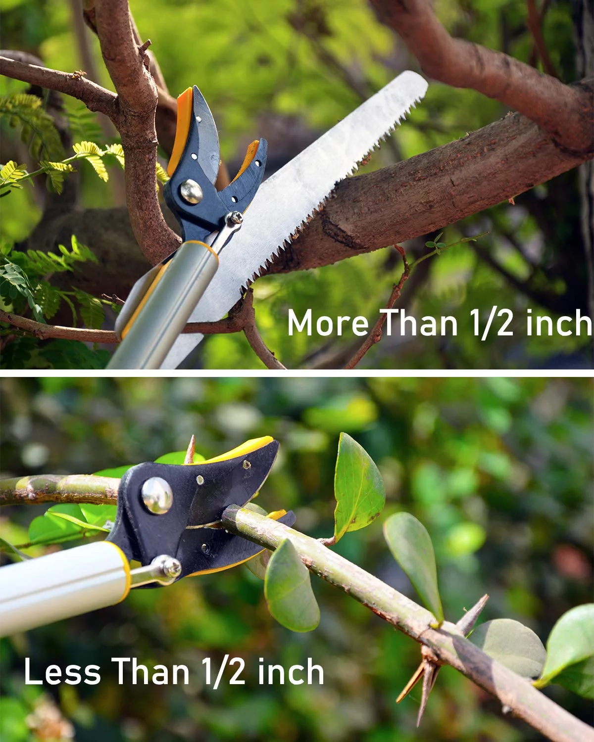 Hectare long reach Aluminum Telescopic long reach 10 feet Cut and hold pruner and fruit harvestor with Saw