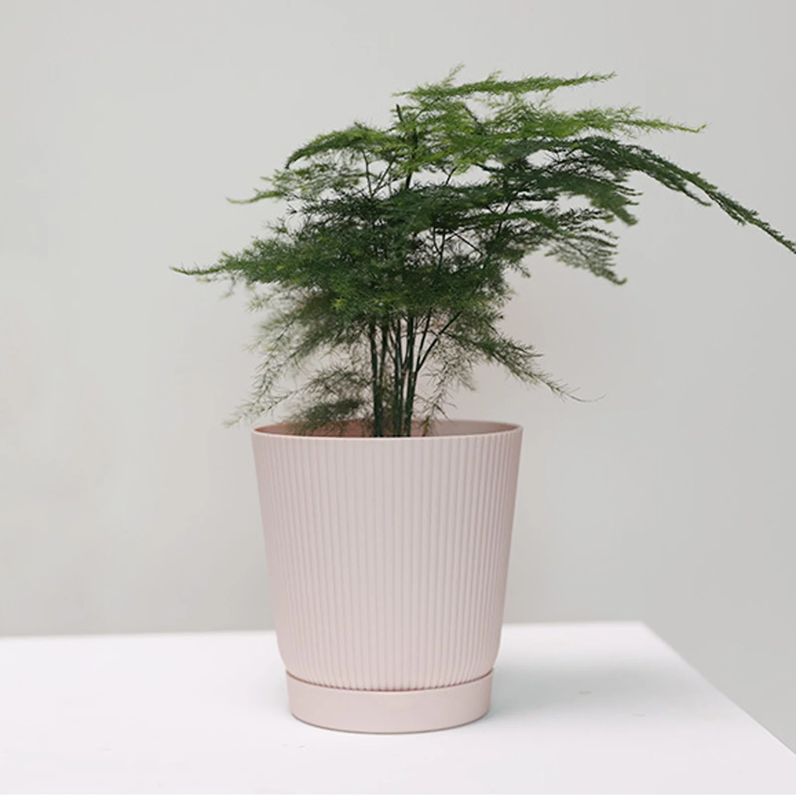 iju7gthy Flying Plug in 4 Pack 4th of July Small Flower Pot Thickened Small Pot with Tray Garden Breathable Pot