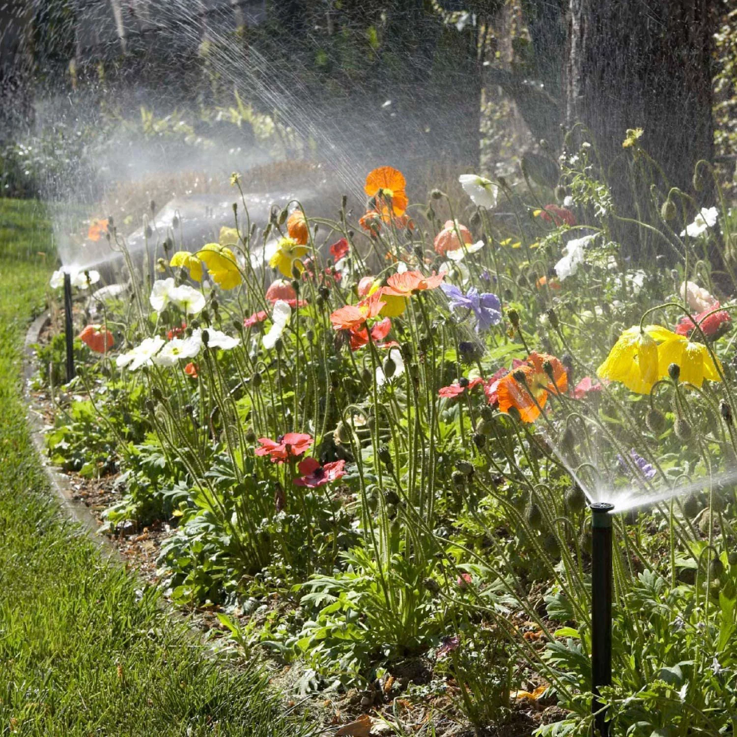 Hunter PROS0415A Pro-Spray Pop-Up Sprinkler, Black