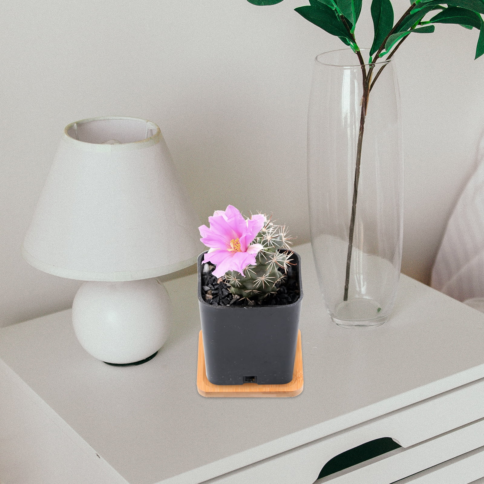 Gongxipen 6pcs Creative Plant Pot Trays Delicate Flower Pot Trays Beautiful Bamboo Trays