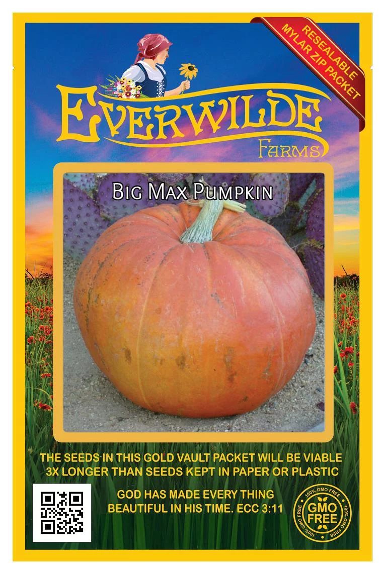 Everwilde Farms - 30 Big Max Pumpkin Seeds - Gold Vault Jumbo Bulk Seed Packet