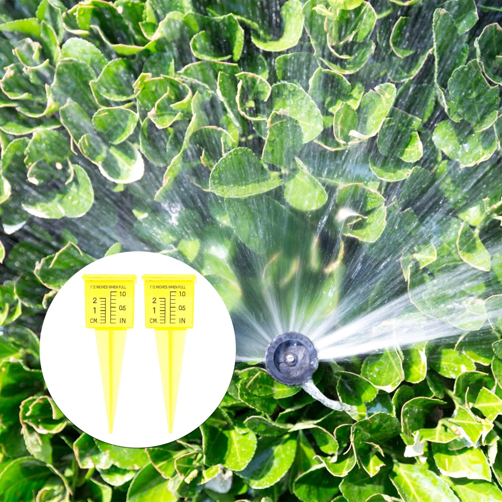 Nuolux Gauge Rain Lawn Sprinkler Gauges Outdoors Water Watering Irrigation Catch Cupsofficial