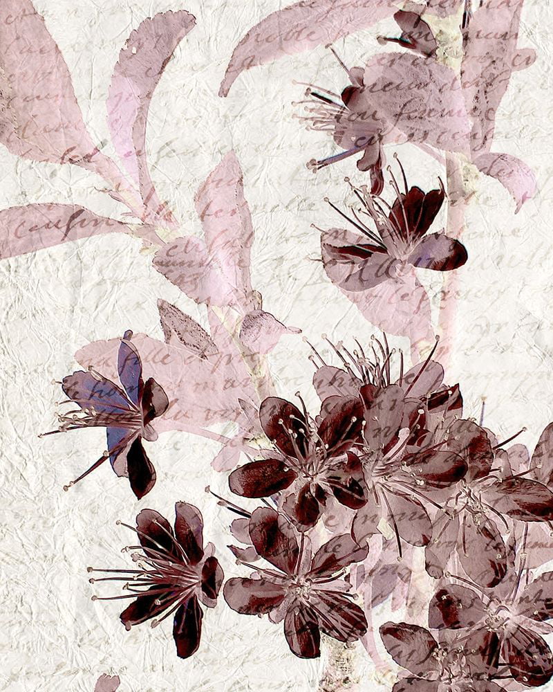 Kimberly, Allen 12x14 Gold Ornate Wood Framed with Double Matting Museum Art Print Titled - Cherry Blossom Plum 1