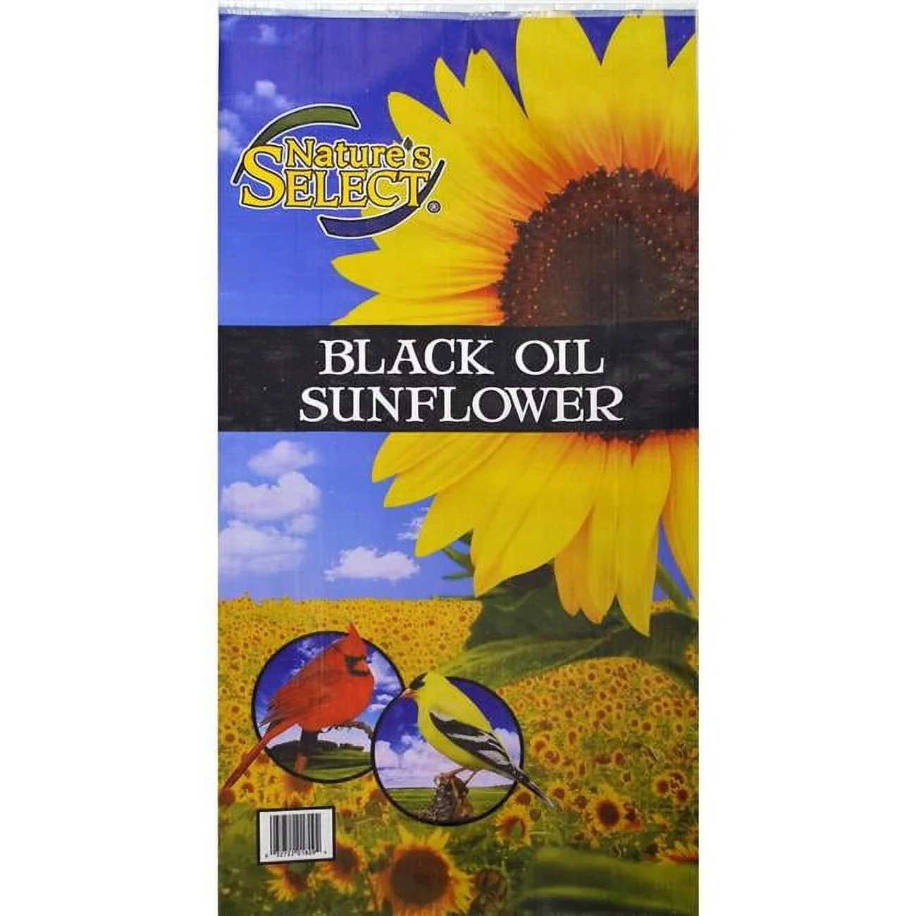 40 lbs Black Oil Sunflower Seed