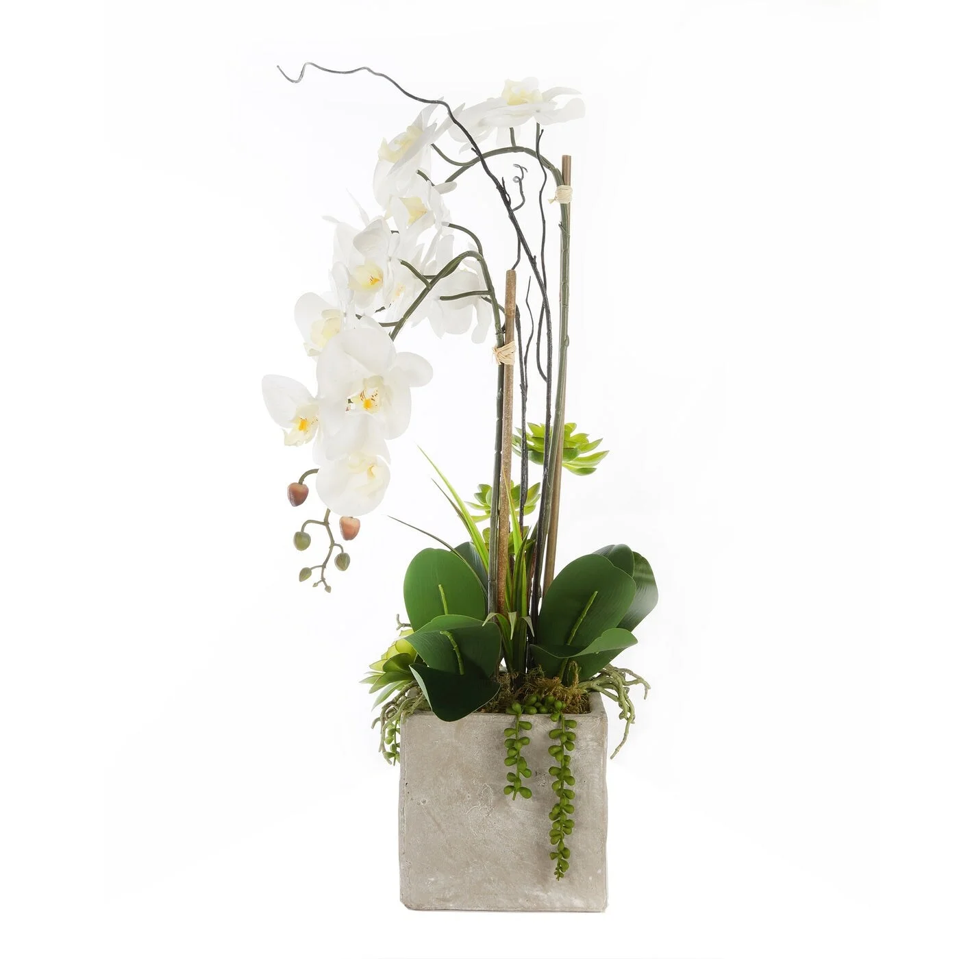 Jenny Silks Real Touch White Orchids & Succulents in Square Cement Pot