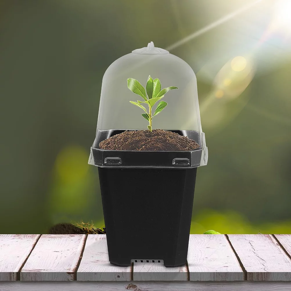 12 Sets Stuffy Flower Pots Planter Pots Small Containers Nursery Starting Pot Small Plant Gardening Flowerpot