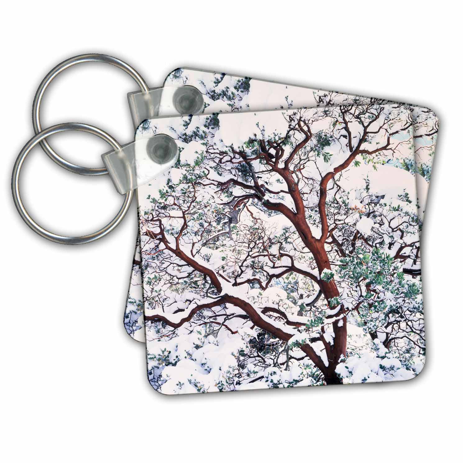 3dRose USA, California, Cleveland National Forest, snow on Manzanita Bush. - Key Chains, 2.25 by 2.25-inch, set of 2