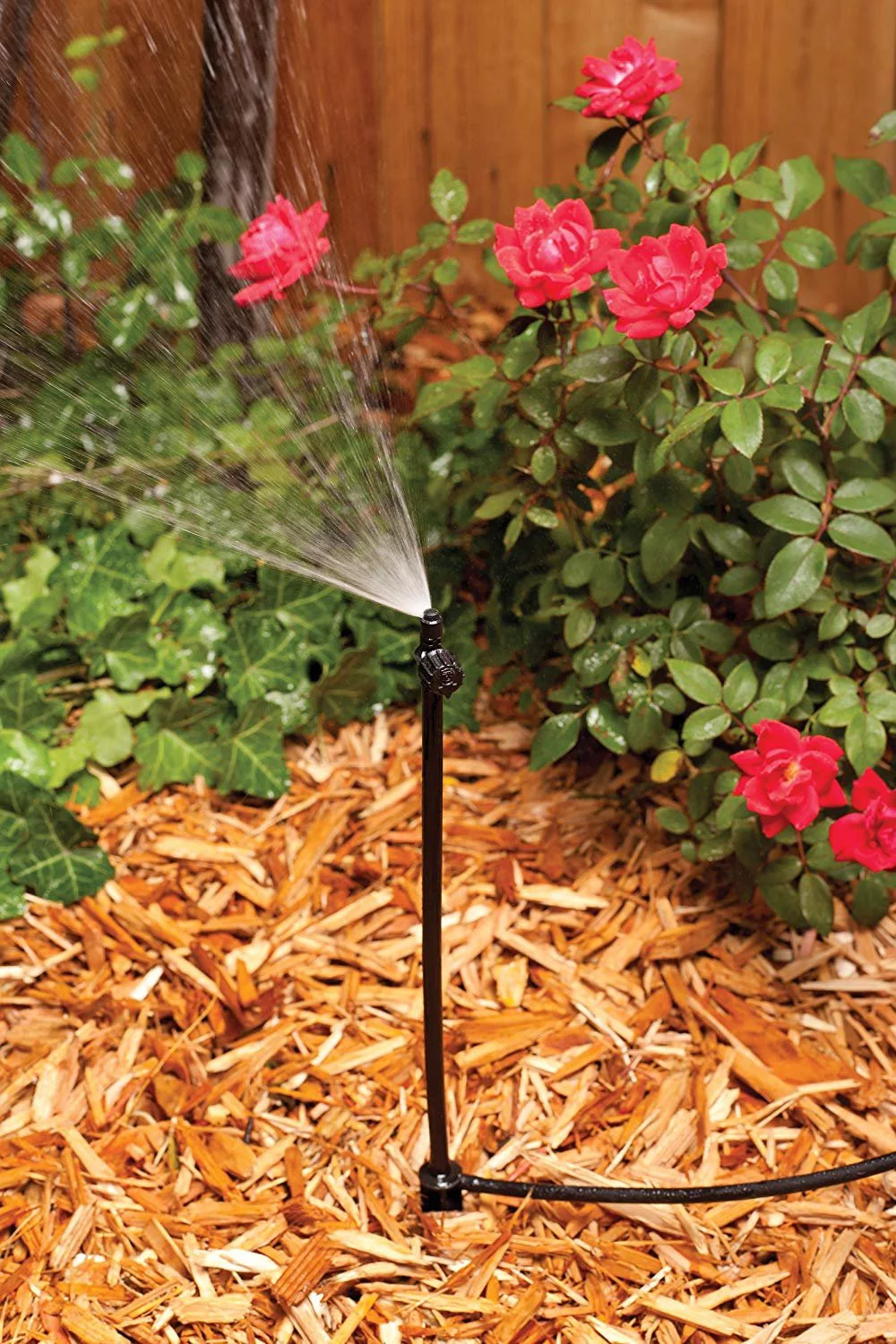 Rain Bird MSSTKTQ1S Drip Irrigation Micro-Spray on Adjustable Height Staked Riser with 1/4
