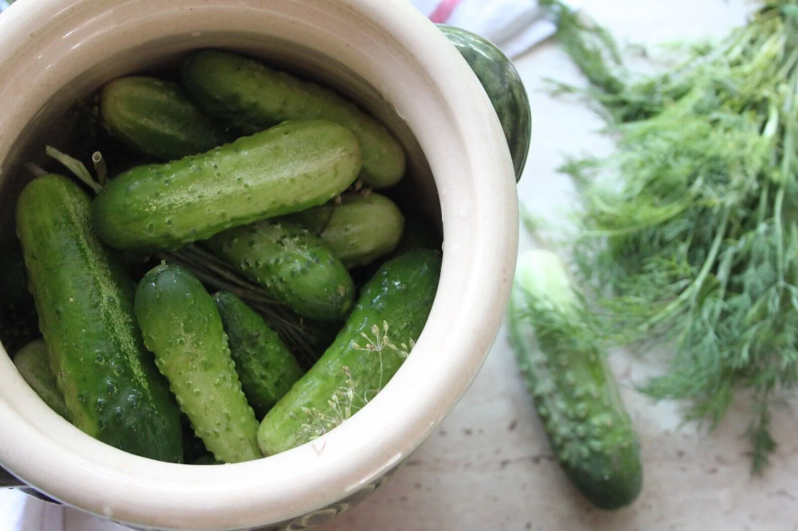 Boston Pickling Cucumber Seeds - 20 Heirloom Seeds