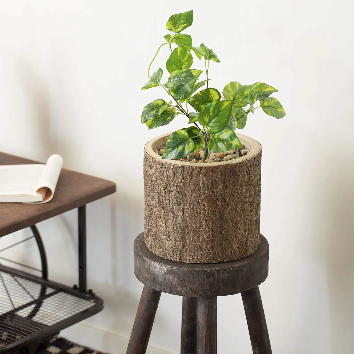 Wooden Stump Tree Branch With Succulent Planter Pot Flower Shelf