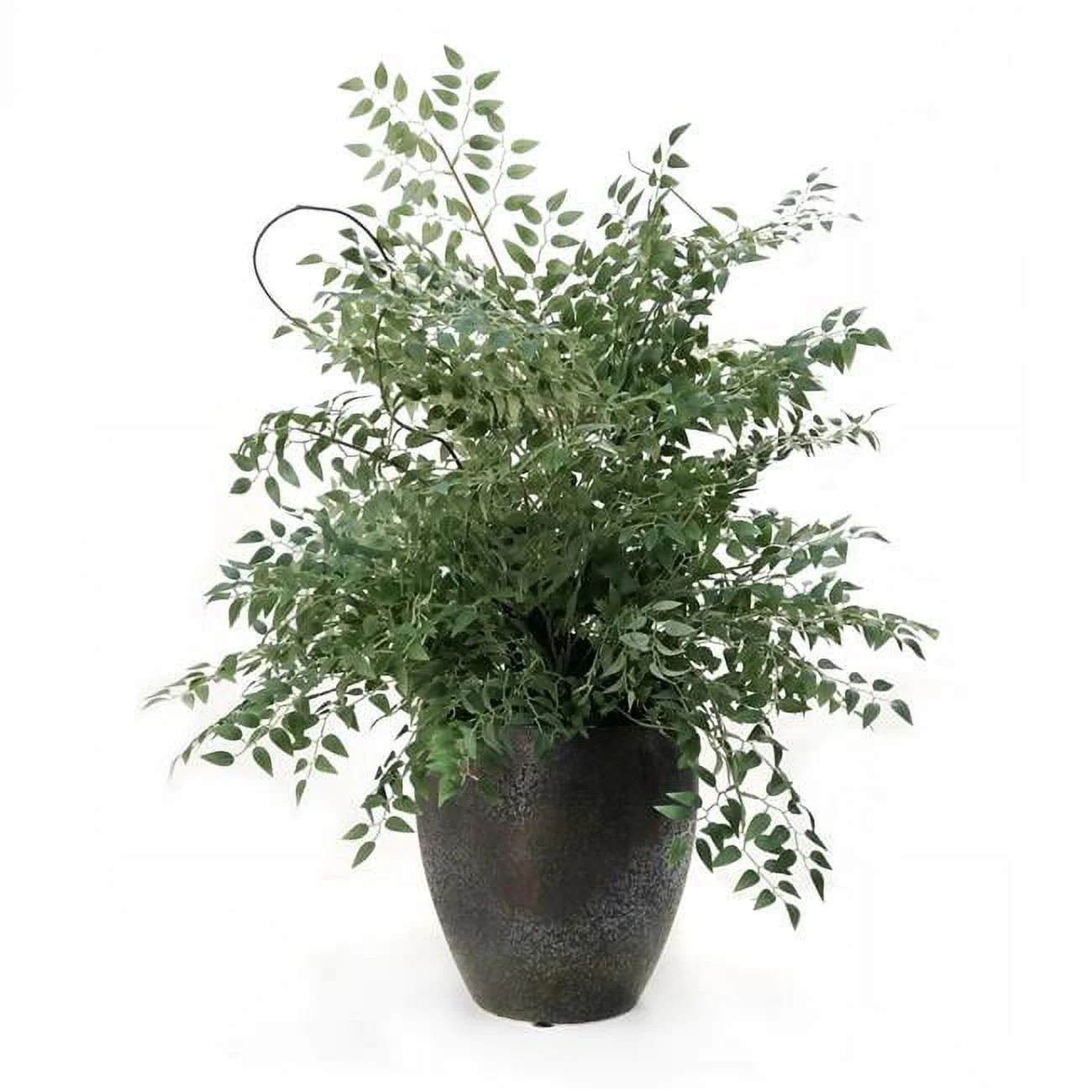 Disttive Designs 2258A Unisex Smilax & Curly Willow in Bronze Plum Pot - Green