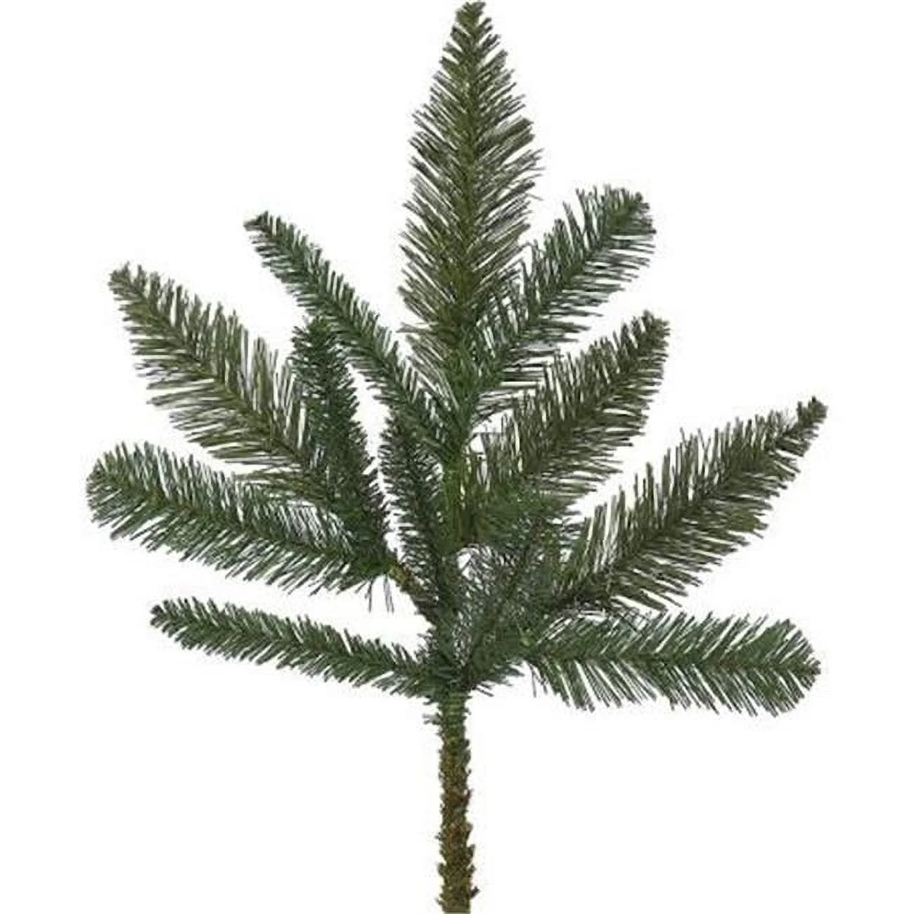 Colorado Spruce Spray - 18 in. - 12 per Box