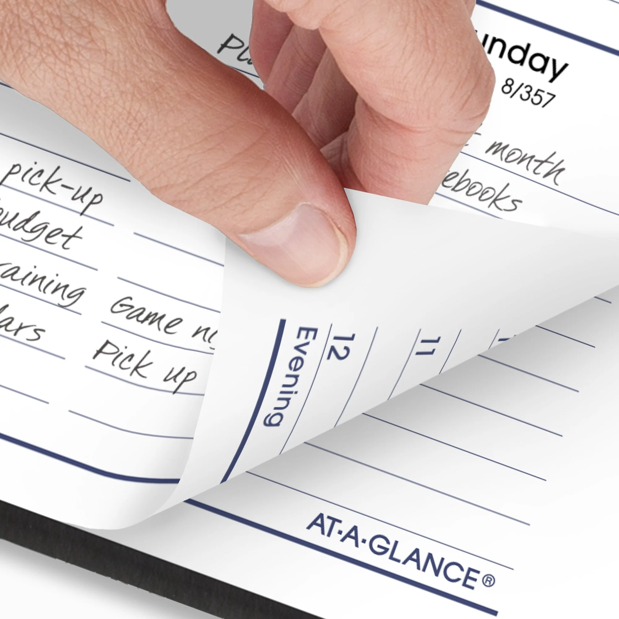 AT-A-GLANCE DayMinder 2024 Weekly Appointment Book Planner Tabbed