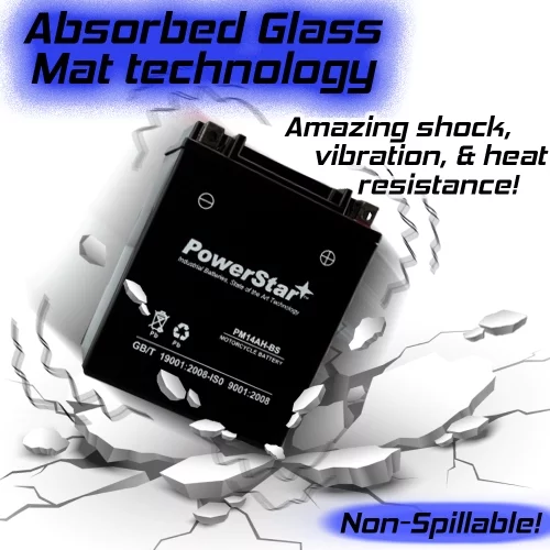 PowerStar YTX14AH-BS ATV Battery Compatible with Polaris ACE 570 SP