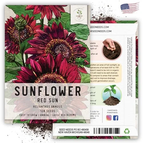 Seed Needs, Red Sun Sunflower Seeds - 120 Heirloom Seeds for Planting Helianthus annuus - Great Cut Flowers, Attracts Butterflies/Pollinators (2 Packs)