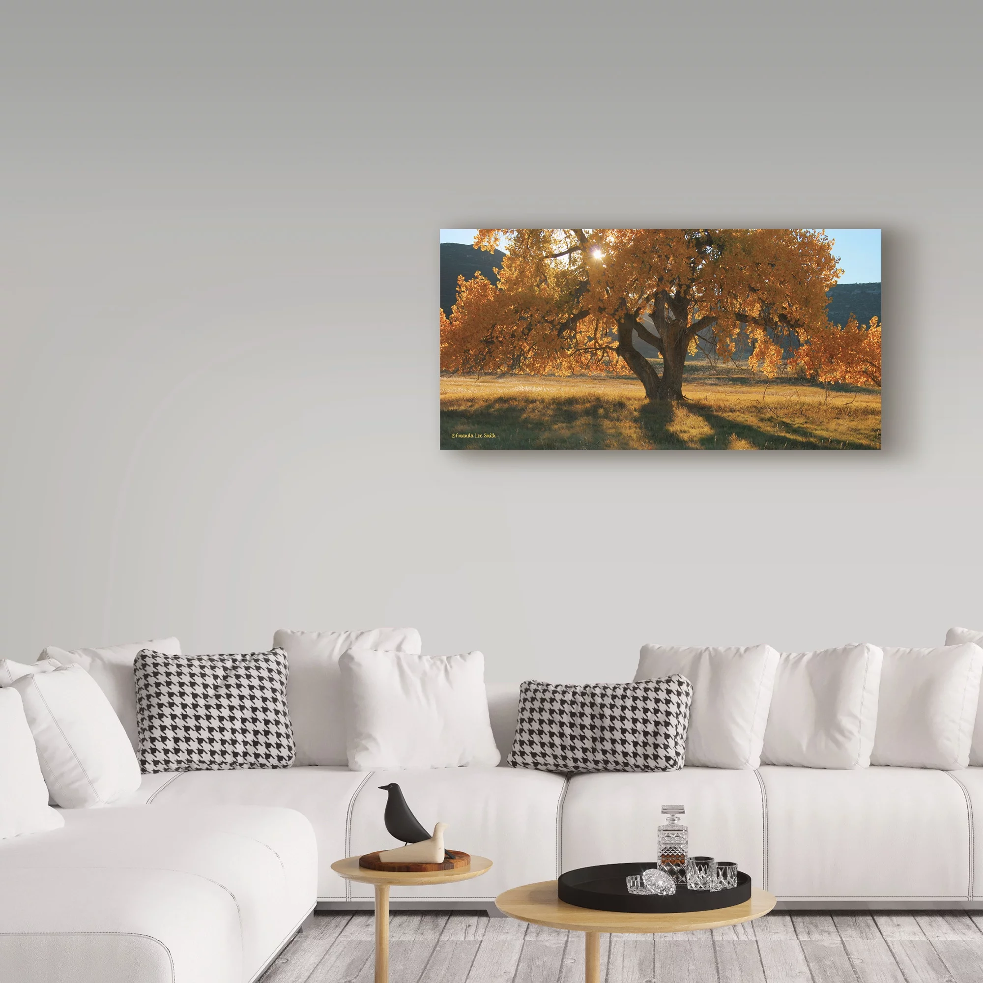 Trademark Fine Art 'Boxelders Autumn Tree' Canvas Art by Amanda Smith