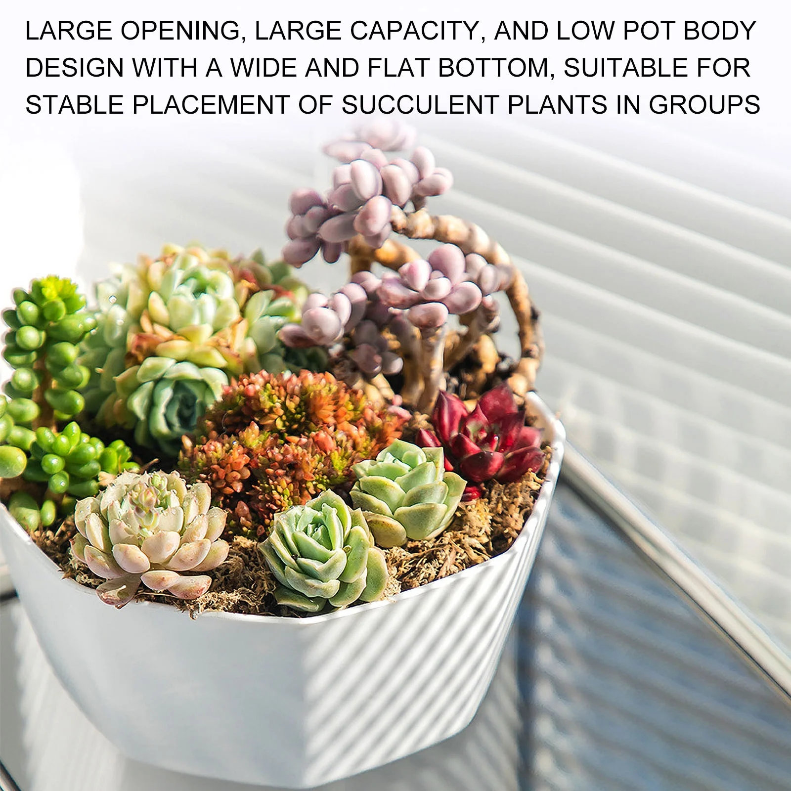 Resin Plastic Succulent Flowerpot, Flower Pot Balcony Thicken Large Resin Pot Plastic Flower Household Patio and Garden