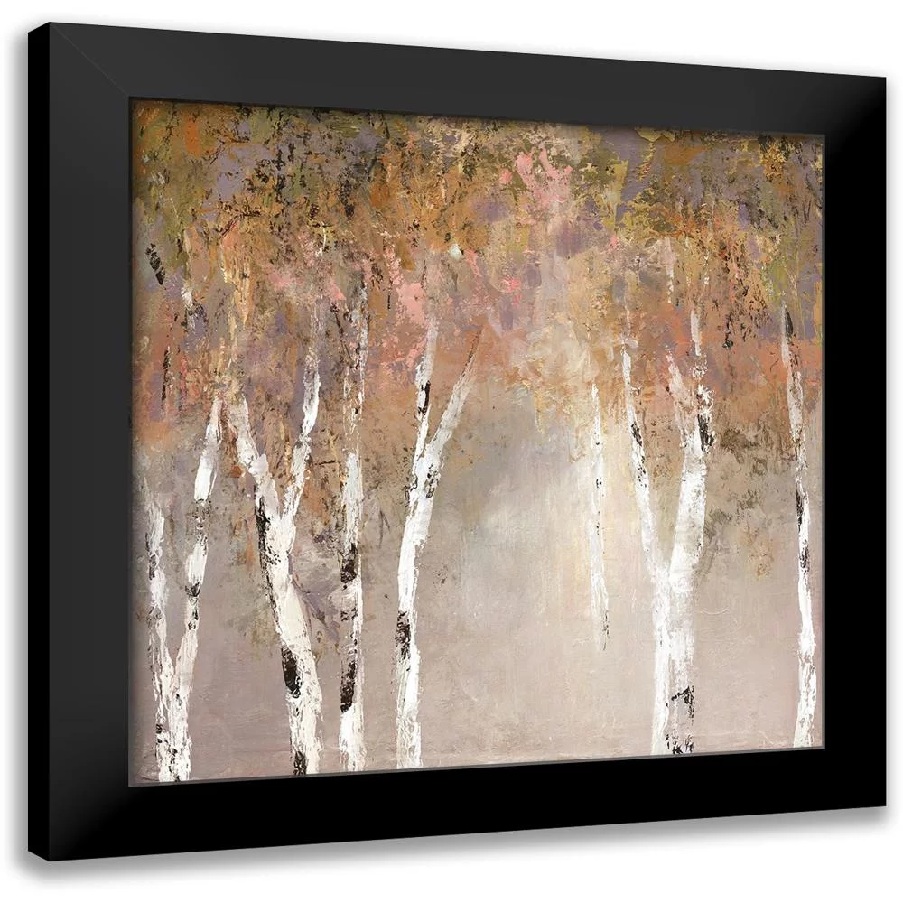 Robinson, Carol 12x12 Black Modern Framed Museum Art Print Titled - Sunlit Birch II