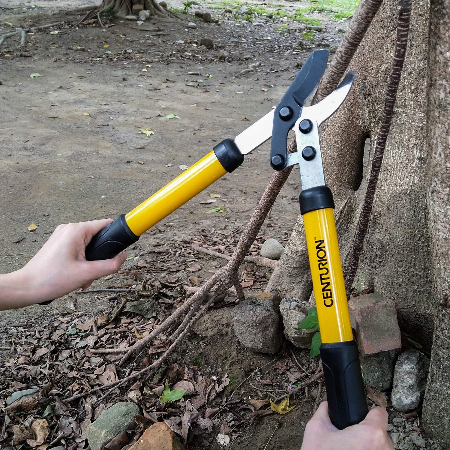 592 2-Pc Ladies Mini Lightweight Cutting Set With 16½- Inch Bypass Lopper & 6 Inches Blade Hedge Shear