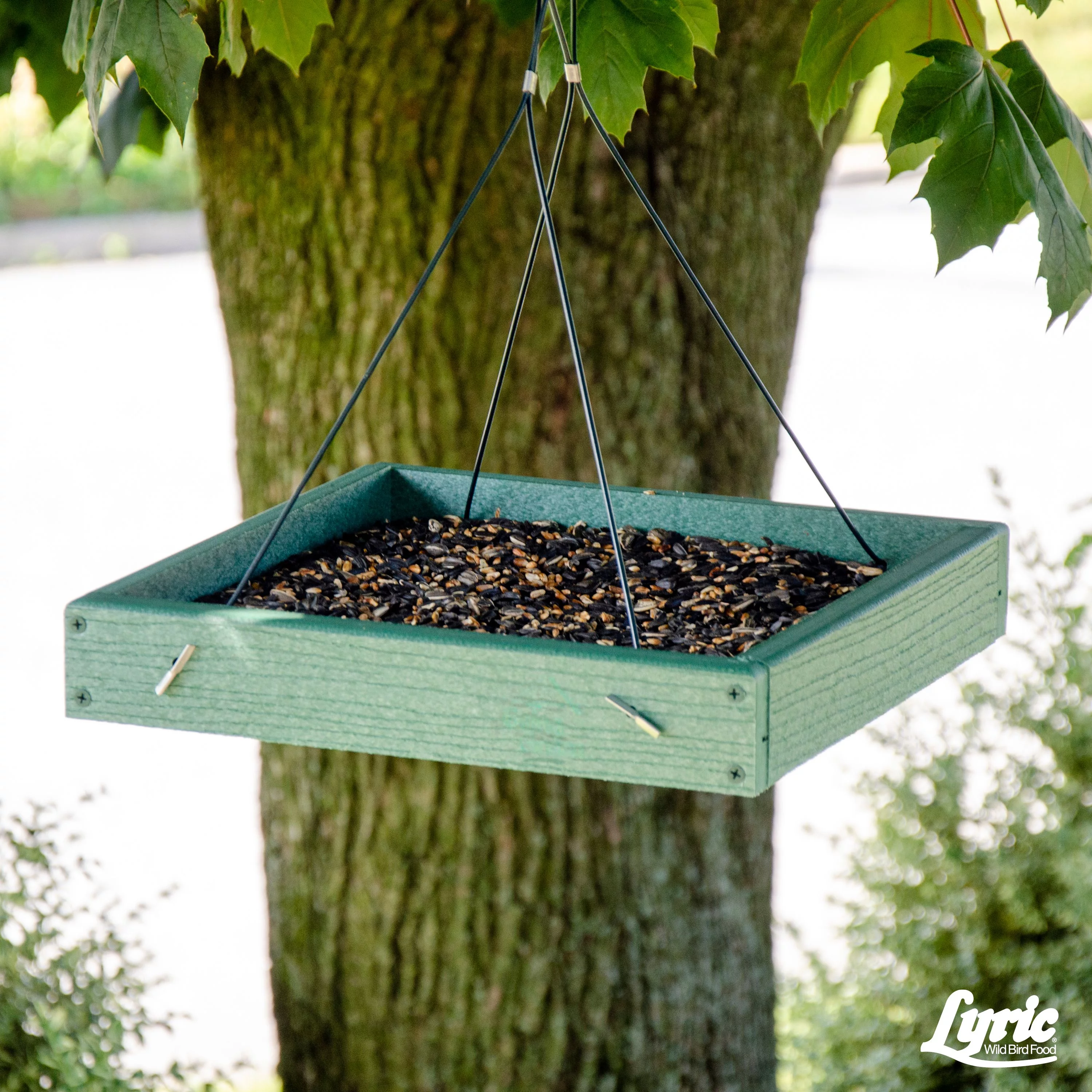 Lyric Cardinal Wild Bird Seed, Sunflower & Safflower Premium Bird Food Mix - 3.75 lb. Bag