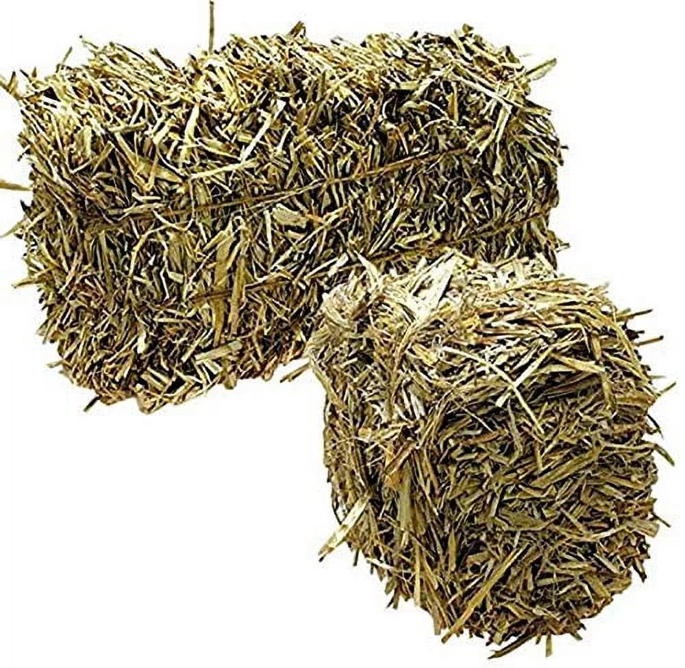 Green Vista Barley Straw Bales for Ponds and Waterfalls - 4 to 5 Pounds - 10 to 12 Month Water Treatment - Supports Water Balance - Safe for Koi, Fish and Plants