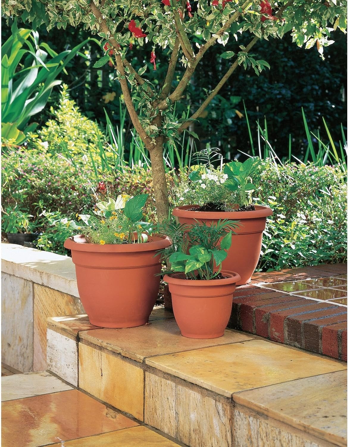 Ariana Pot Liv Green 16