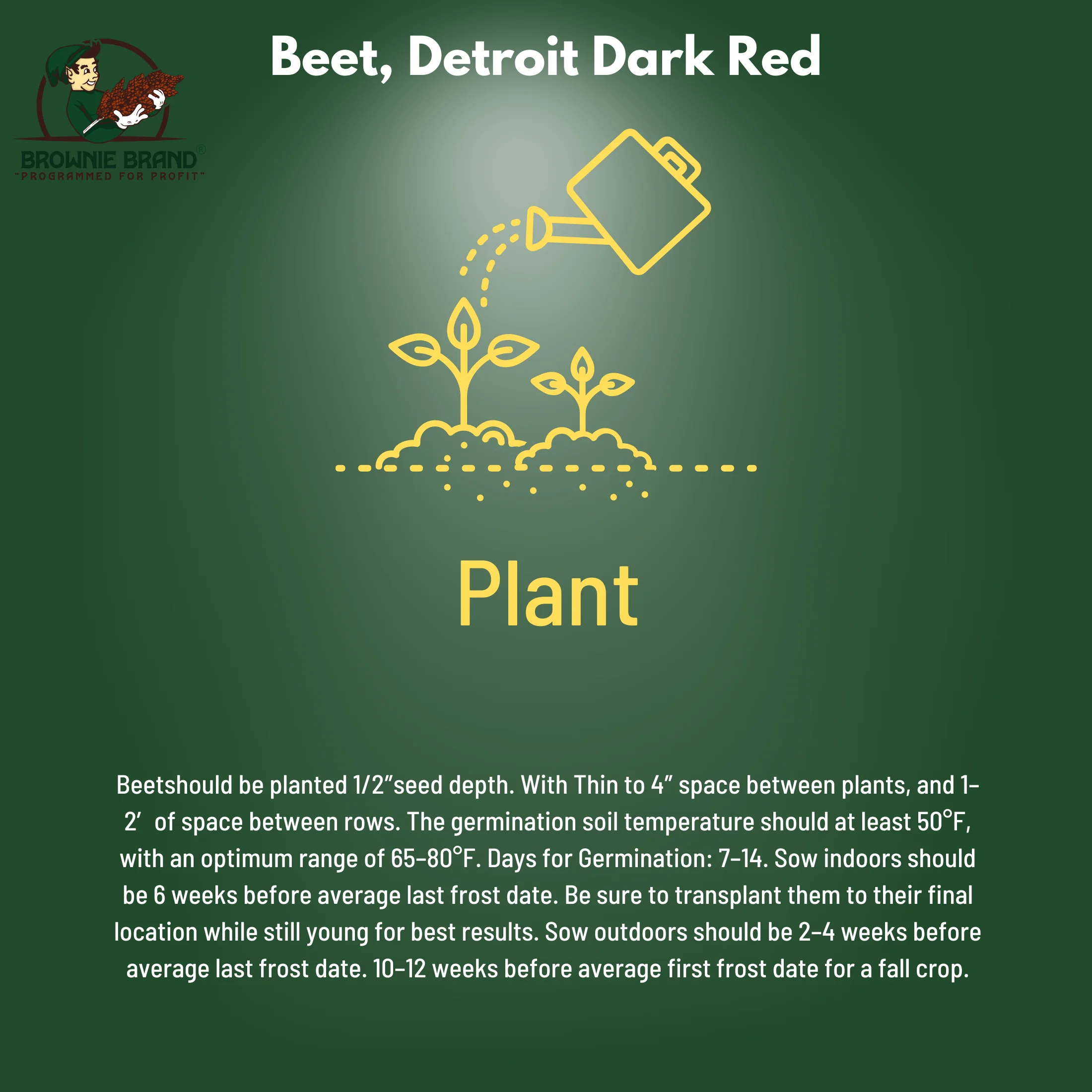 Browning Seed Beet Detroit Dark Red, Packet