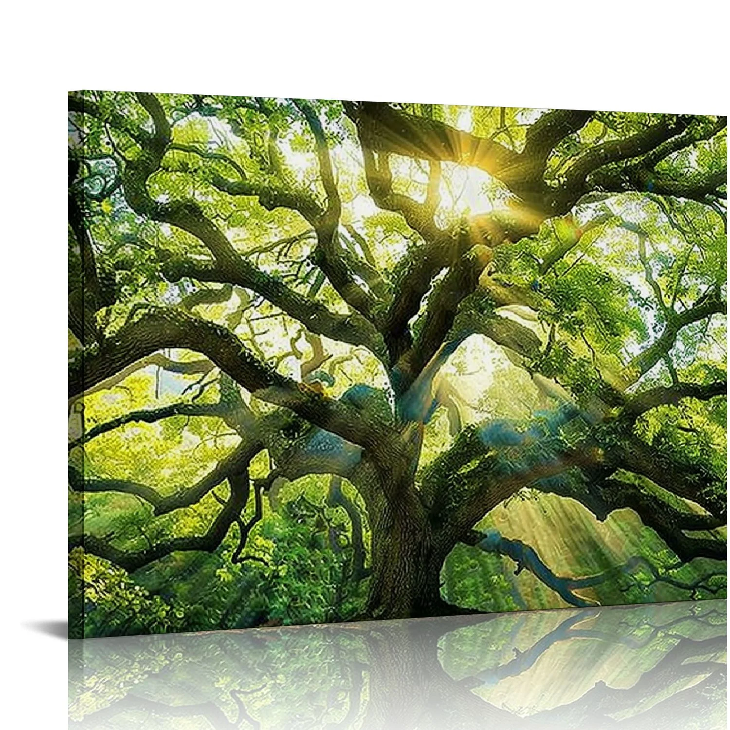 PRATYUS Landscape Canvas Artwork Angel Oak Tree Picture Prints Sunshine Through Tree Canvas Green Oak Tree Painting South Carolina Tree Print Nature Canvas 20x16 in/16x12 in 20x16in
