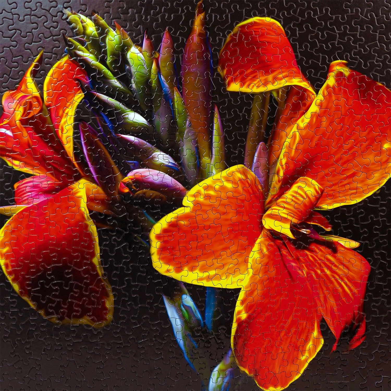 Springbok's Maderna Canna Lily 500 Piece Jigsaw Puzzle - Made in USA - Unique Cut Pieces