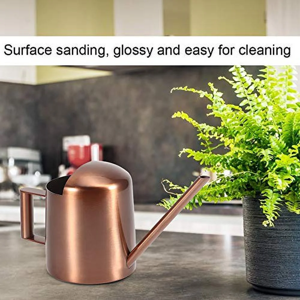 Stainless Steel Watering Can for Indoor Plants 10 Oz Small Watering Can with Long Spout for House Plants Decorative Rose Gold Metal Mini Watering Pot for Bonsai Succulent Gardening Tools