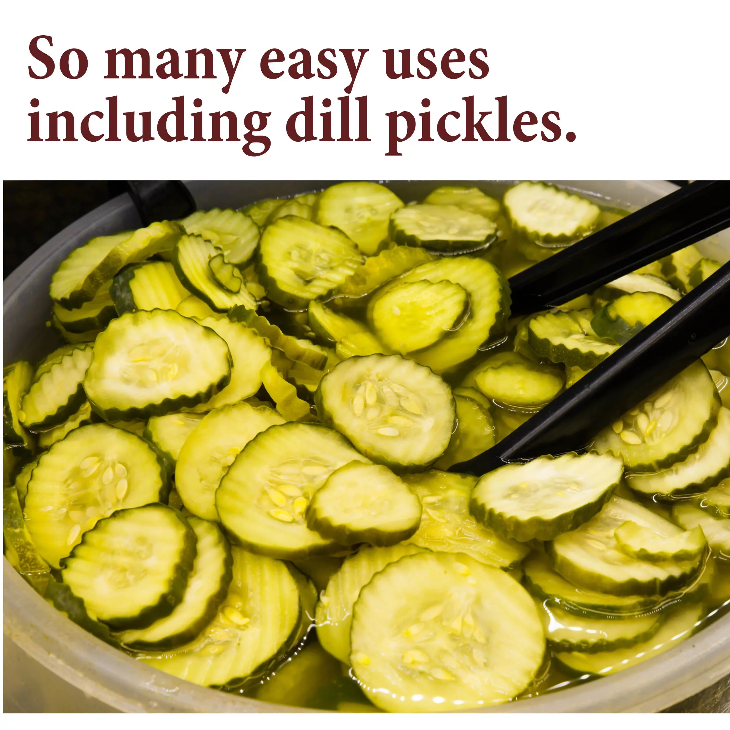 The Spice Way Dill Weeds -European, Middle Eastern and American Cuisine Spice Blend–All Natural–6oz