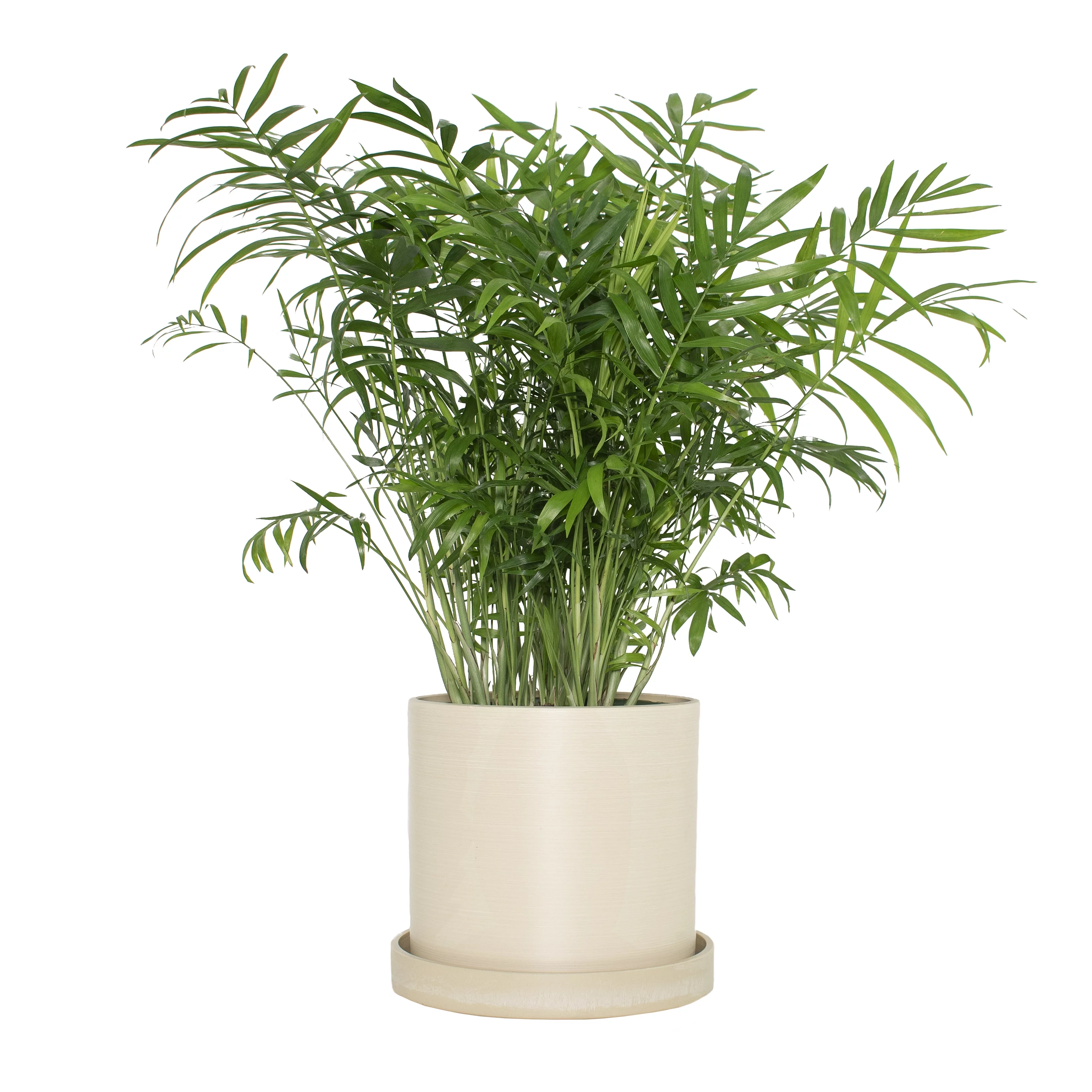 Plant with Purpose 7 in. Cream Natural Upcycled Planter - 1 Piece